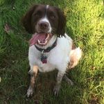 Patrick McAuliffe - @pmmcauliffe - Instagram