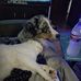 Patrick Mccabe - Facebook