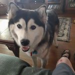 Patrick McCafferty - @patrick.mccafferty.3785 - Instagram