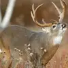 Patrick Mcclellan - @patrick.mcclellan7 - TikTok