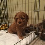 patrick mcclory - @patrick_mcclory - Instagram