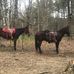 Patrick McCuiston - Facebook