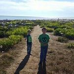 Patrick A McCune - @mccunepatrick - Instagram