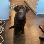 Patrick McCune - @pdm043 - Instagram