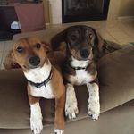 Patrick McCutcheon - @pmccutcheon_5 - Instagram