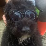 Jackson - @jackson_patrick_mcdade - Instagram