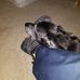 Patrick McDonough - Facebook