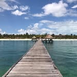 @patrick.mcdougall - Instagram