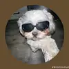 Patrick mcdougal - @patrick.mcdougal3 - TikTok