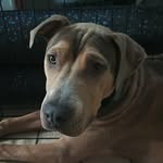 Patrick McDuffee - @patrick.mcduffee - Instagram