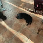 Patrick McEachern - Facebook