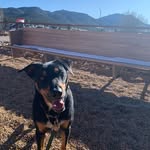 patrickmcgeeney - @patrickmcgeeney - Instagram