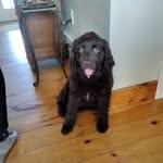 Patrick McGough - @mcgough9936 - Instagram