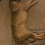 Patrick Mcgough - @patrick.mcgough.9822 - Instagram