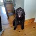 Patrick McGough - Facebook