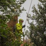 Patrick McGovern - @patrickmcgovernphotography - Instagram