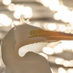 Patrick McGowan - @lightrecord1 - Instagram