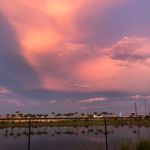 Patrick McGowan - @patrick.mcgowan65 - Instagram