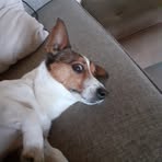 Patrick Mcgowan - Facebook