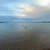 Patrick Mcgowan - @patrickmcgowan2 - TikTok