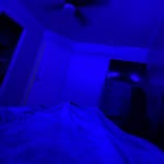 Patrick_McGrady - @yo_favorite_white_person - Instagram