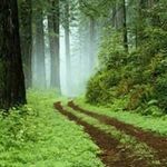 Frederick Krueger - @patrick.mcgreal.75 - Instagram