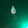Pat McGreal - @patmcgreal - TikTok
