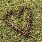 Patrick Mcgreal - @doesanyonefollowme - Instagram