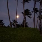 John Patrick McInerney Jr. - @jpmpro - Instagram