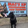 Patrick McInerney - Macs K9 - @patrick.mcinerney3 - TikTok
