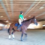Patrick Mckeon - @patrick.mckeon.716 - Instagram