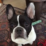Patrick McKeon - @prorsum17 - Instagram