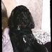 Patrick Mclarnon - Facebook