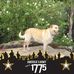 Patrick McLemore - Facebook