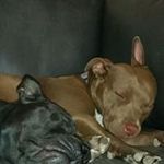 patrick mcleod - @mcleod8143 - Instagram