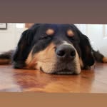 Patrick McMasters - @patrick.mcmasters - Instagram