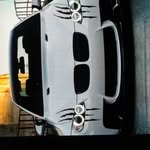 Patrick McMeans - @mcmpimp - Instagram