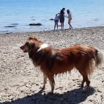 Patrick Mcredmond - @mcredmondpatrick - Instagram