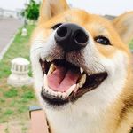 Patrick Mcveigh - @patrick.mcveigh.925 - Instagram