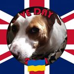 Patrick Mead - @ramblingmanrick - Instagram