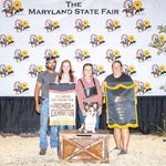 Patrick Meadows Farm - @patrickmeadowsfarm - Instagram
