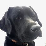 Patrick Medley - @pmedley55 - Instagram