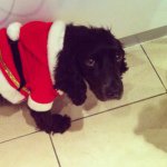 Patrick Meek - @patrick_meek_ - Instagram