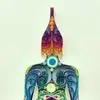 Melin Patrick - @melin.patrick - TikTok
