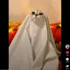 mellettpatrick - @mellettpatrick - TikTok
