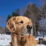 Patrick Merrill - @patrickplaysinthedirt - Instagram