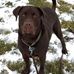 Patrick Messick - Facebook