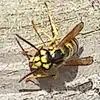 Patrick L. Messenger - @patrickl.messenge - TikTok