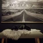 Patrick Metz - @metz8644 - Instagram
