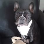 Patrick Miles - @patrick.miles.146 - Instagram